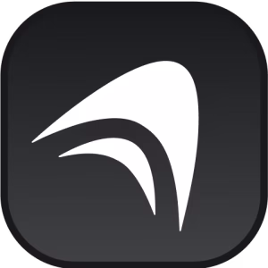 Anything-logo